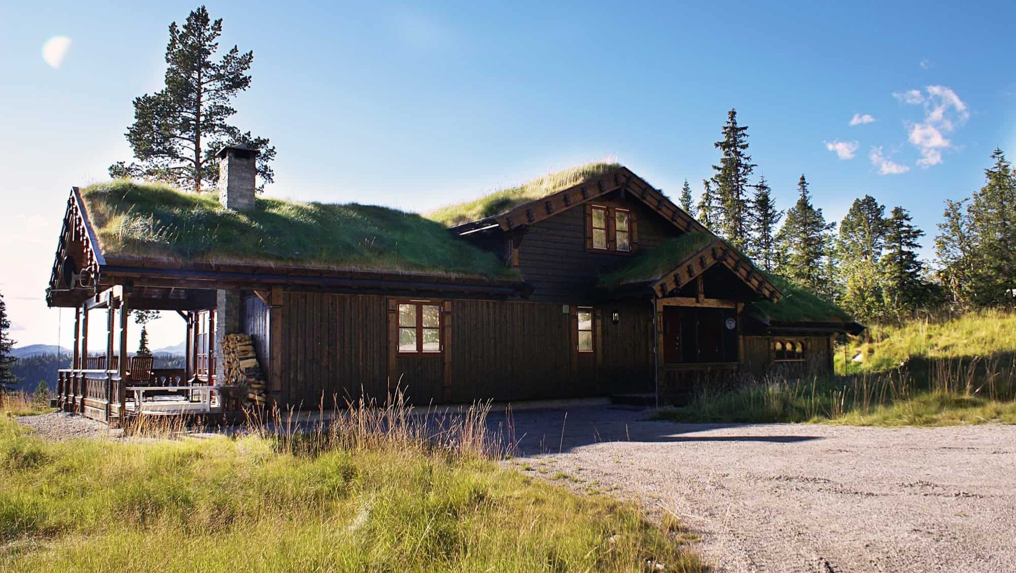 Tradisjonell tømmerhytte med gresskledd torvtak, omgitt av skog og åpent fjellandskap i sollys.